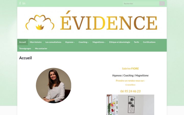 Screenshot of mesevidences.com