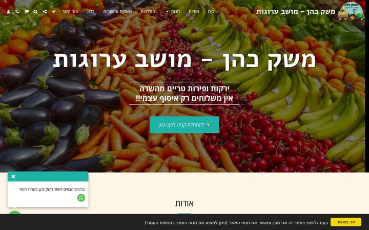 Screenshot of meshekcohen.com