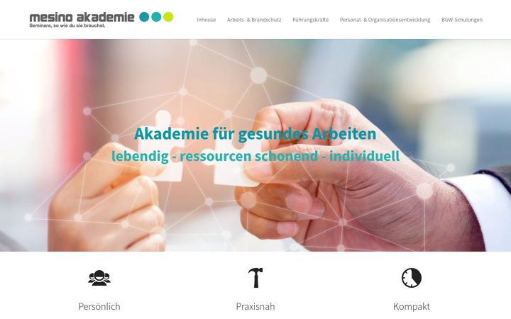 Screenshot of mesino-akademie.com