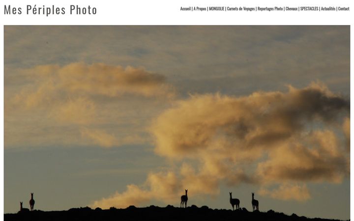 Screenshot of mesperiplesphoto.com