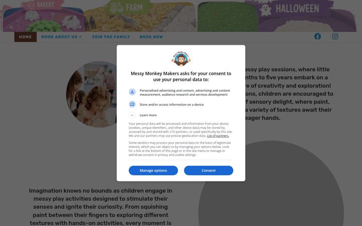 Screenshot of messymonkeymakers.com