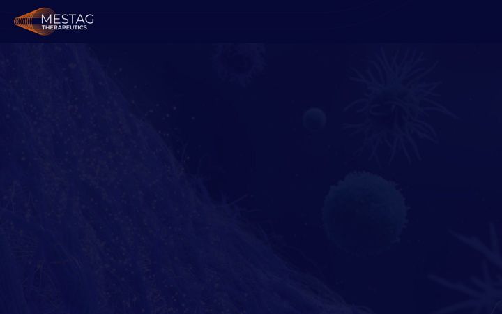 Screenshot of mestagtherapeutics.com