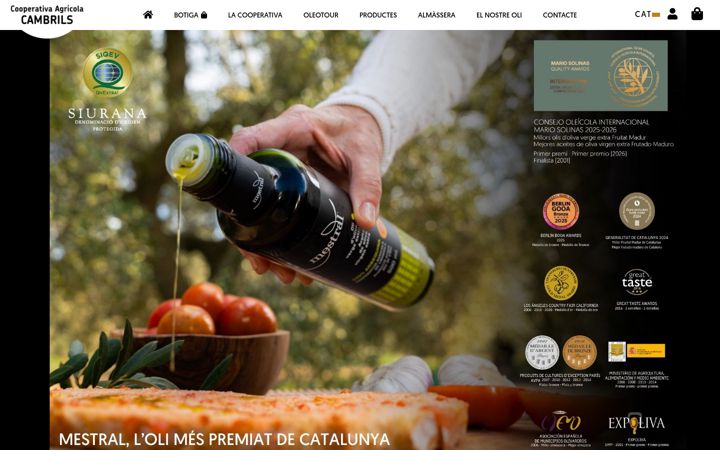 Screenshot of mestralcambrils.com