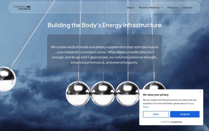 Screenshot of metabiokinetics.com