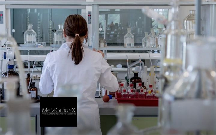 Screenshot of metaguidex.com