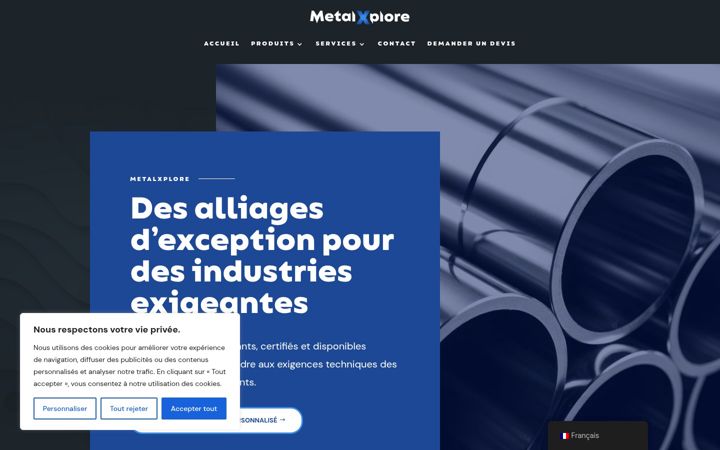 Screenshot of metalxplore.com