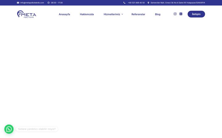 Screenshot of metapsikoteknik.com