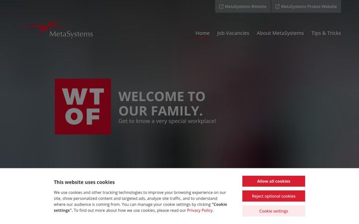 Screenshot of metasystems-career.com