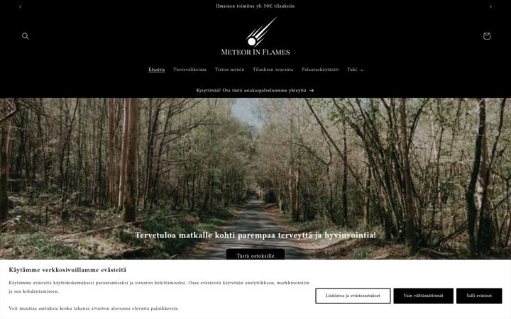Screenshot of meteorinflames.com