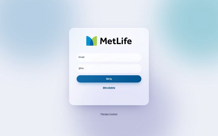 Screenshot of metflexbenefits.com