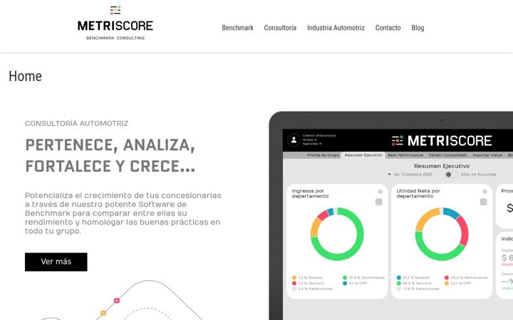 Screenshot of metriscore.com
