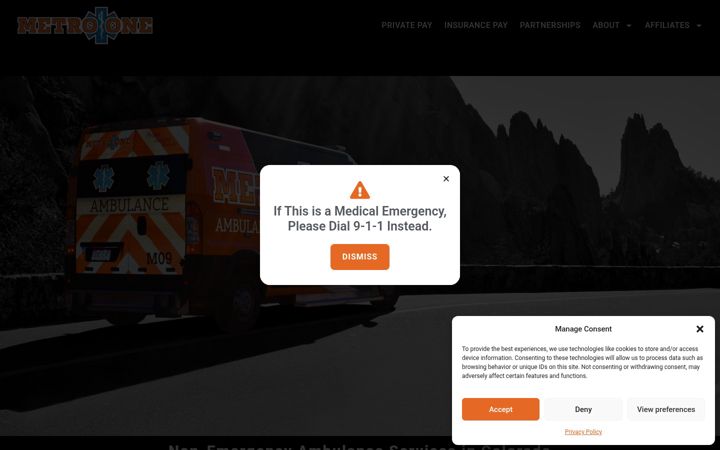 Screenshot of metro1ambulance.com