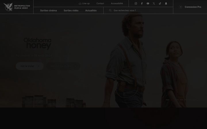 Screenshot of metrofilms.com