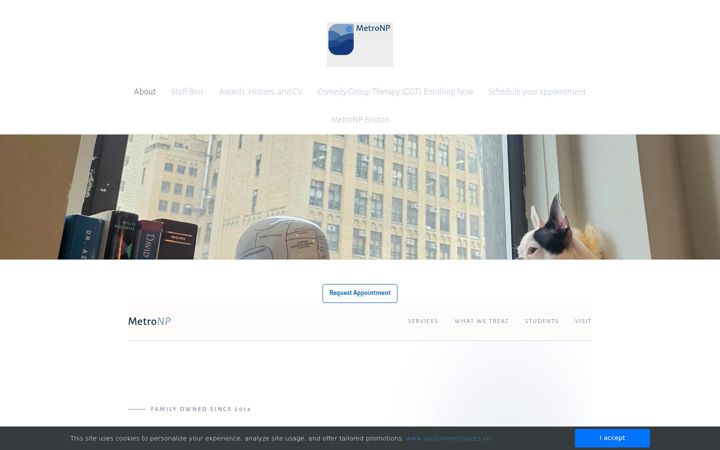 Screenshot of metronp.com