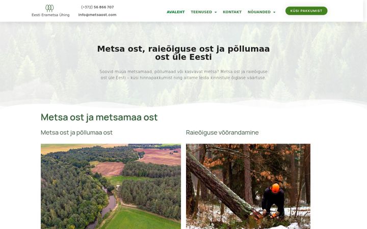 Screenshot of metsaost.com