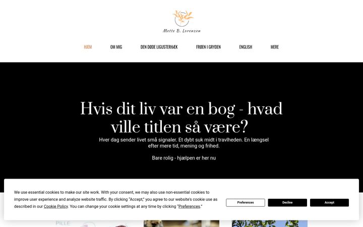 Screenshot of mettebl.com