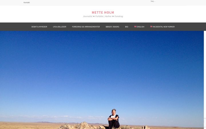 Screenshot of metteholm.com