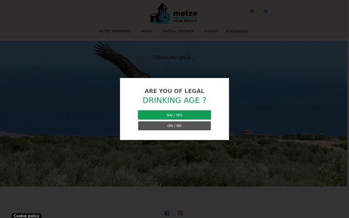Screenshot of metzoraki.com