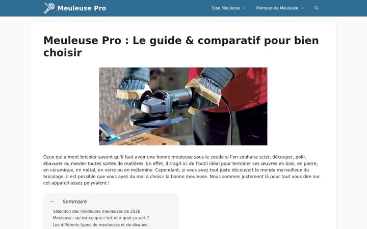 Screenshot of meuleusepro.com