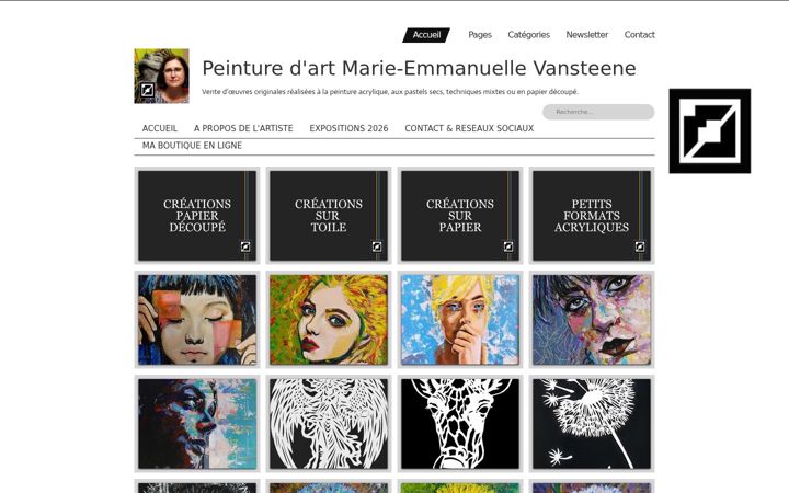 Screenshot of mevpainting.com