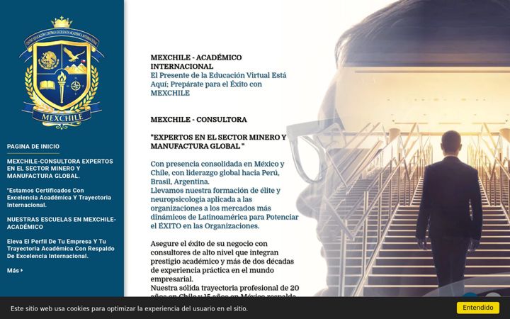 Screenshot of mexchile-academico.com