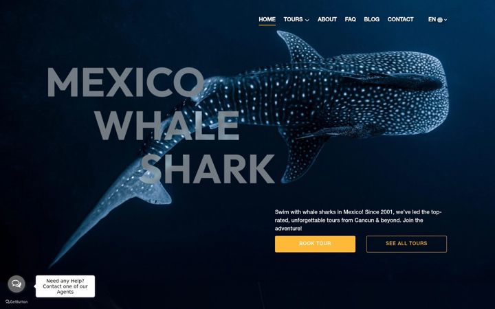 Screenshot of mexicowhaleshark.com