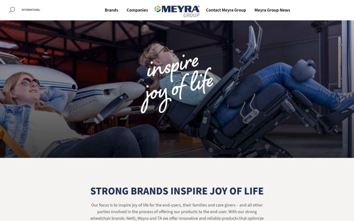 Screenshot of meyragroup.com