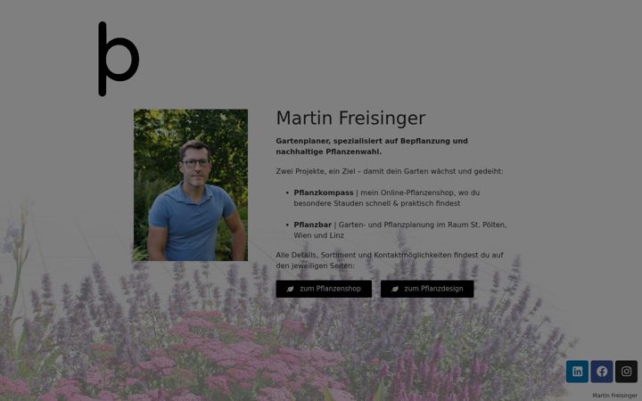 Screenshot of mfreisinger.com