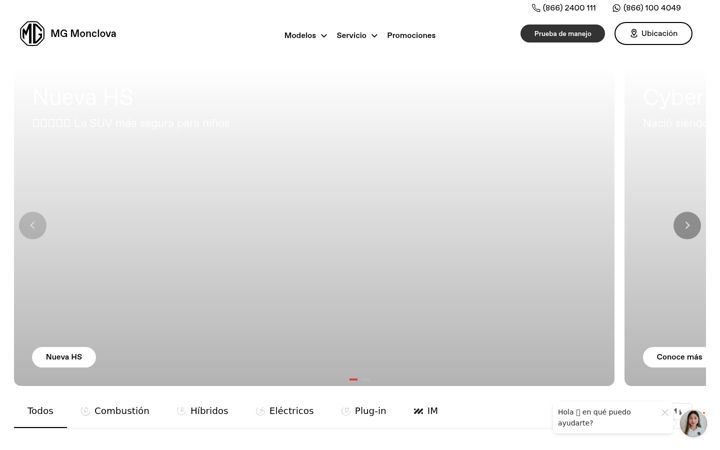 Screenshot of mgmonclova.com