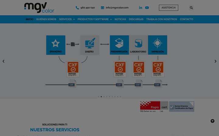 Screenshot of mgvcolor.com