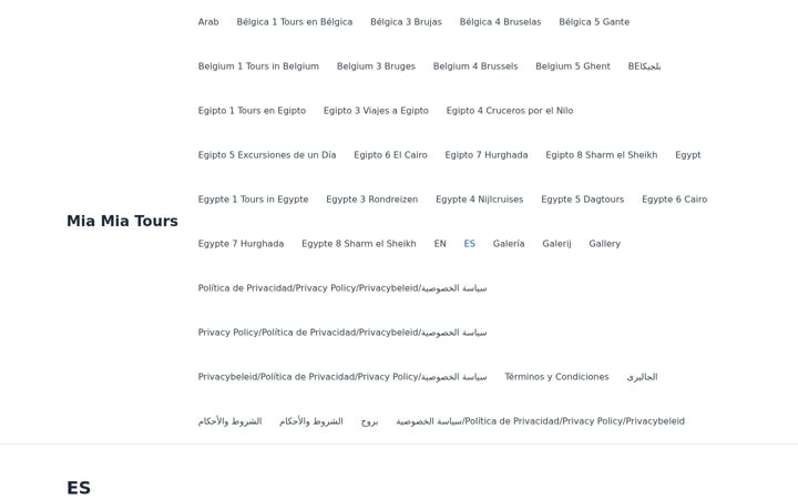 Screenshot of miamiatours.com