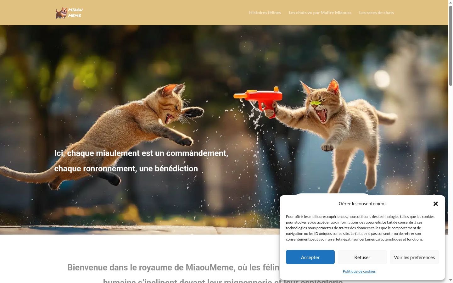 Ekraanipilt nõusolekubännerist, mida näidati enne mis tahes suhtlust