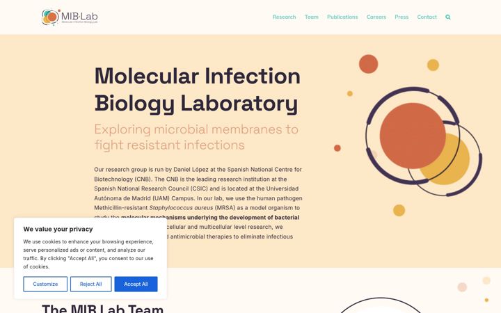 Screenshot of mib-lab.com