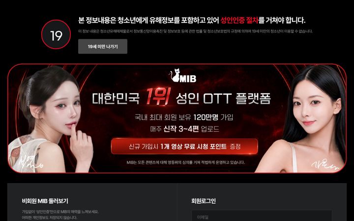 Screenshot of mib19.co.kr