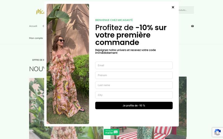 Screenshot of micasaste.com