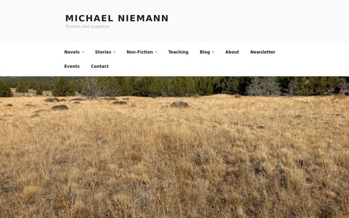 Screenshot of michael-niemann.com