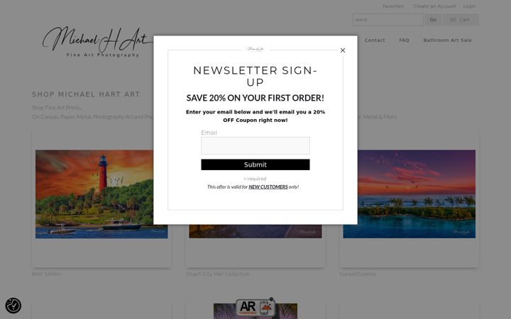 Screenshot of michaelhartart.com