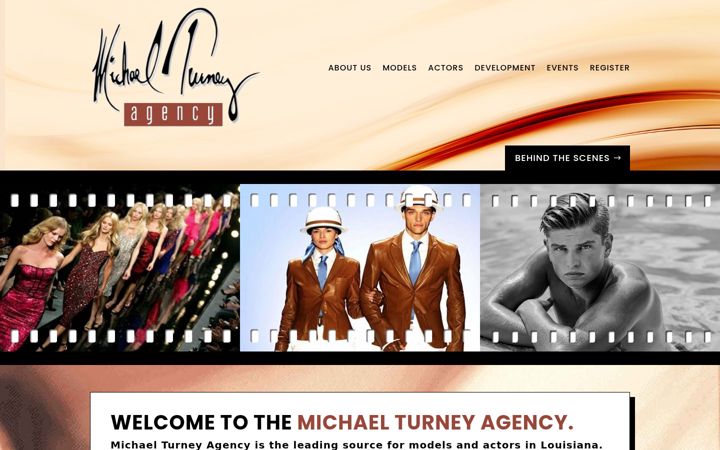 Screenshot of michaelturneyagency.com