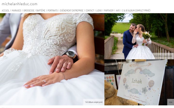 Screenshot of michelanhleduc.com