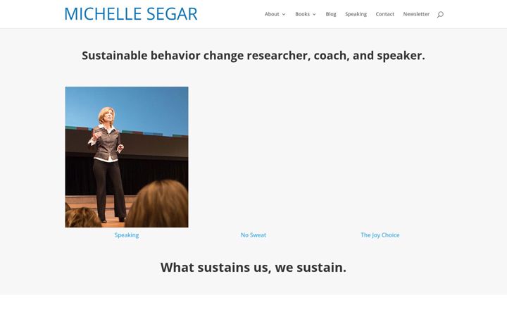 Screenshot of michellesegar.com