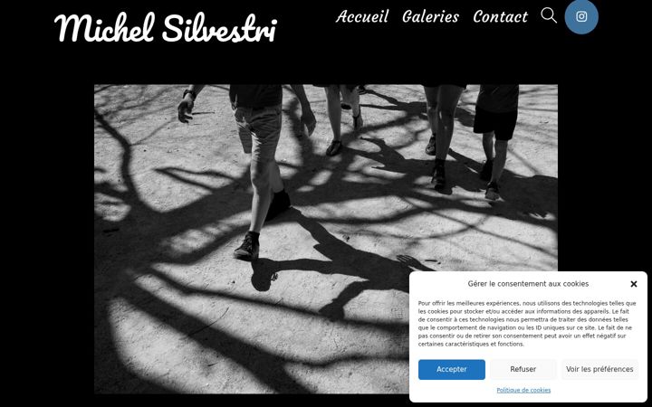Screenshot of michelsilvestri.com