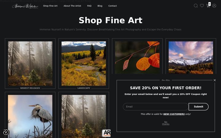 Screenshot of michelynnhollisterphotography.com