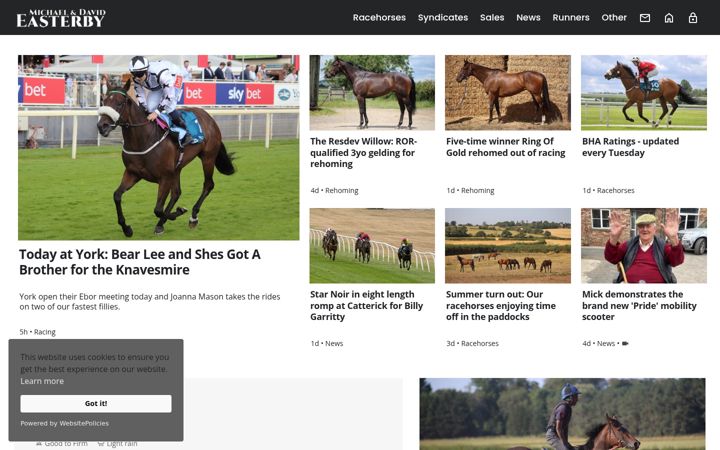 Screenshot of mickeasterby.com