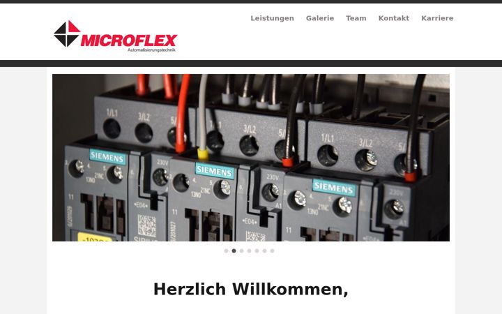 Screenshot of microflex-services.com
