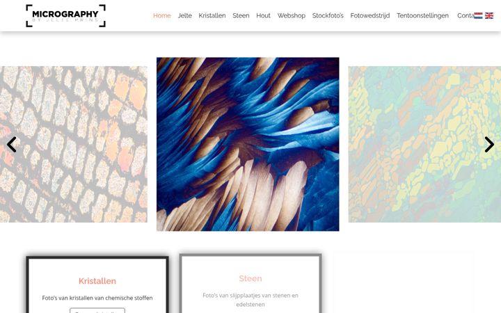 Екранна снимка на micrography.com