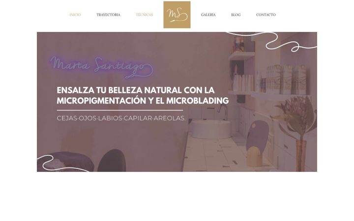 Screenshot of micropigmentacionms.com