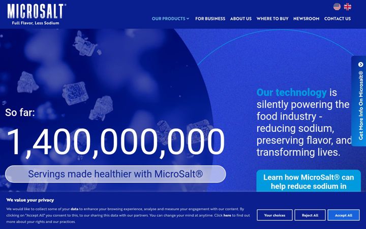 Screenshot of microsaltinc.com