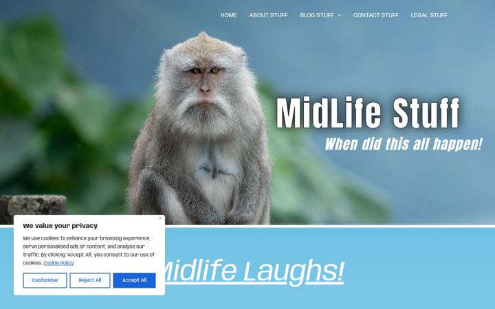 Skærmbillede af midlifestuff.com