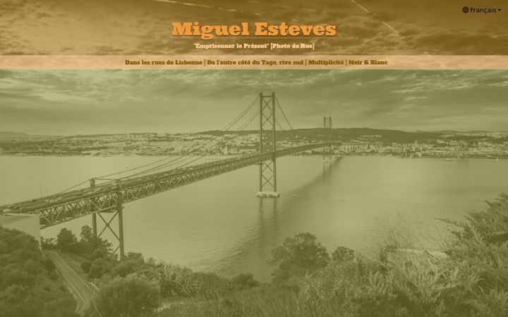 Screenshot of miguel-esteves.com