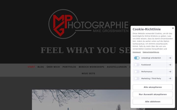 Screenshot ta' mike-grosshanten-photographie.com